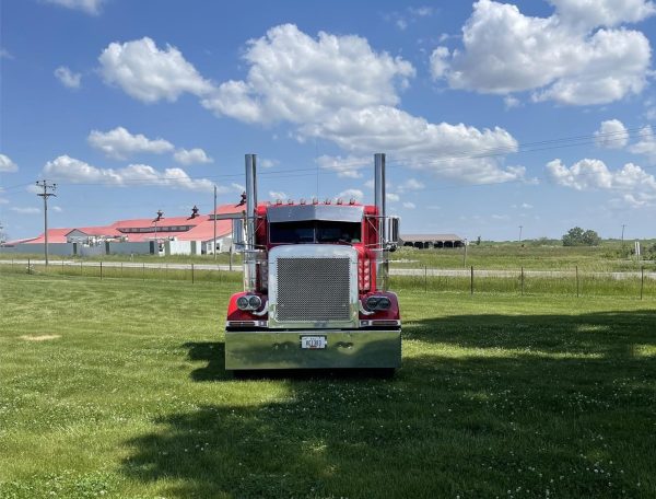 1991 Peterbilt 379 - Image 2